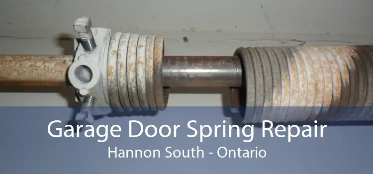 Garage Door Spring Repair Hannon South - Ontario