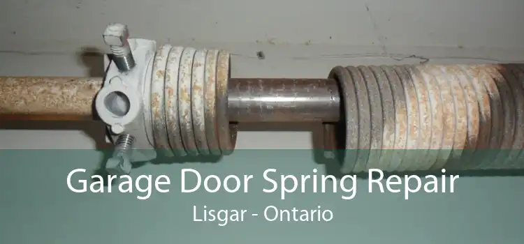 Garage Door Spring Repair Lisgar - Ontario