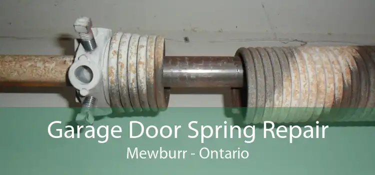 Garage Door Spring Repair Mewburr - Ontario