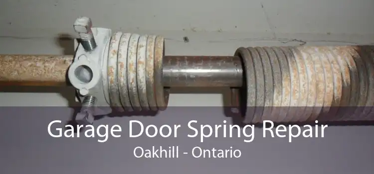 Garage Door Spring Repair Oakhill - Ontario