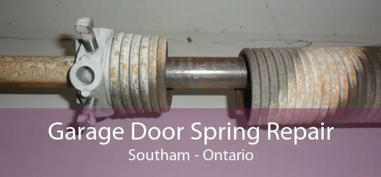 Garage Door Spring Repair Southam - Ontario