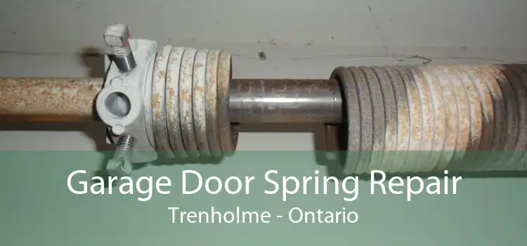 Garage Door Spring Repair Trenholme - Ontario