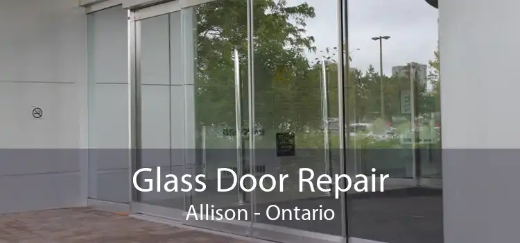 Glass Door Repair Allison - Ontario