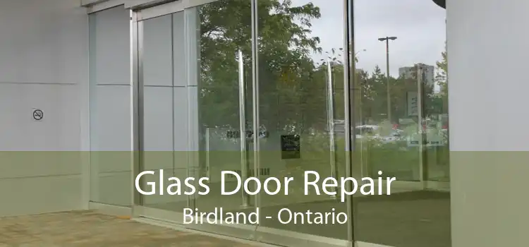 Glass Door Repair Birdland - Ontario