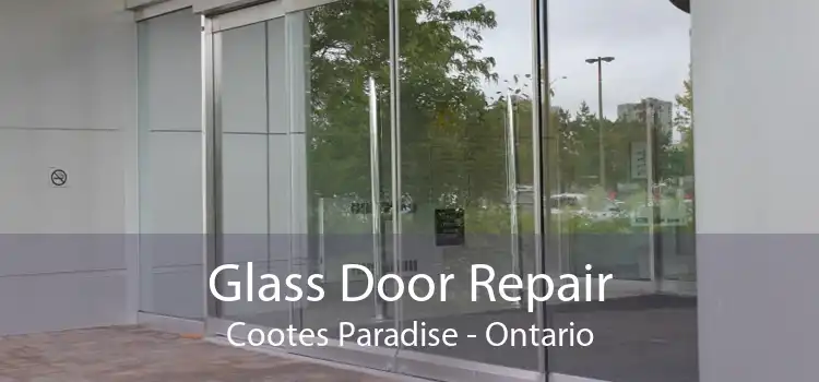 Glass Door Repair Cootes Paradise - Ontario