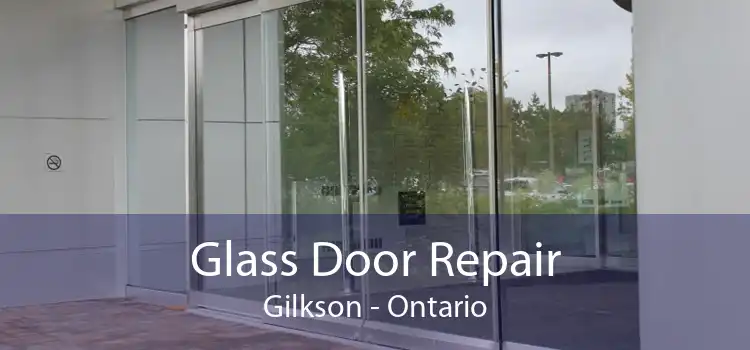 Glass Door Repair Gilkson - Ontario
