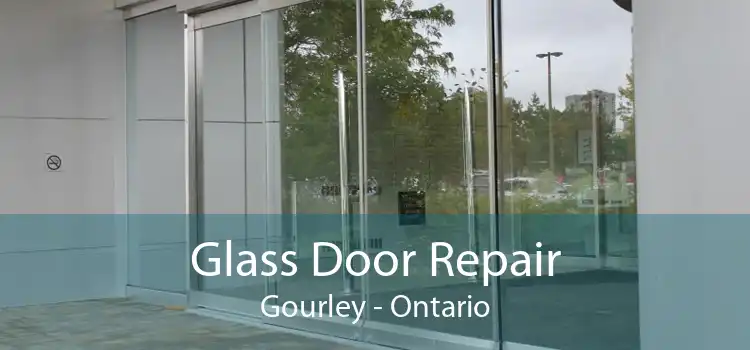 Glass Door Repair Gourley - Ontario