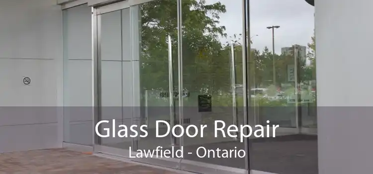 Glass Door Repair Lawfield - Ontario