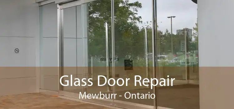Glass Door Repair Mewburr - Ontario