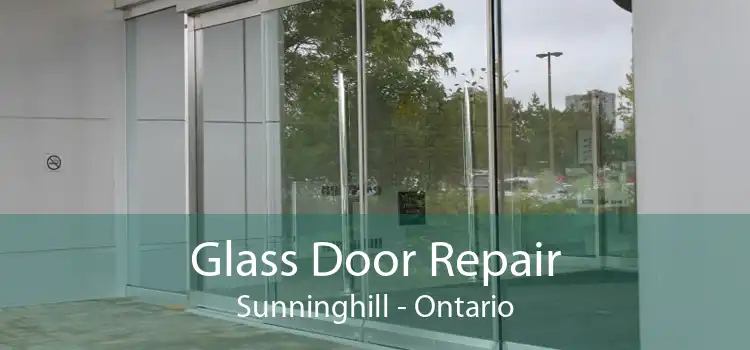 Glass Door Repair Sunninghill - Ontario