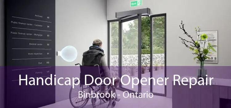Handicap Door Opener Repair Binbrook - Ontario