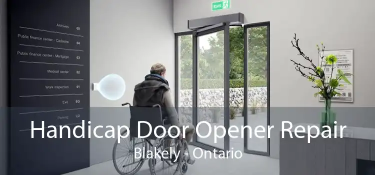 Handicap Door Opener Repair Blakely - Ontario