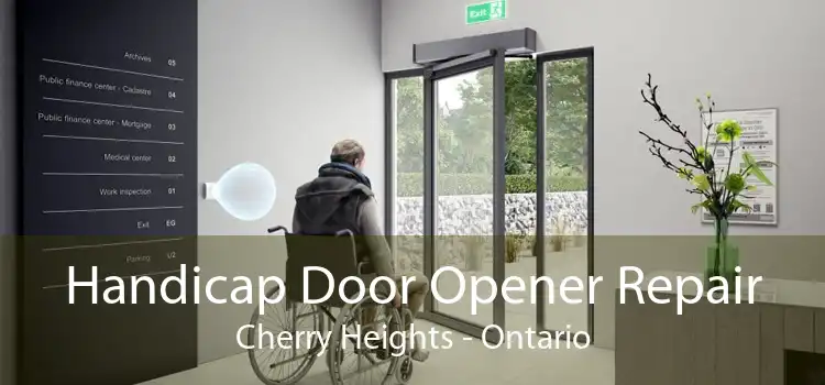 Handicap Door Opener Repair Cherry Heights - Ontario