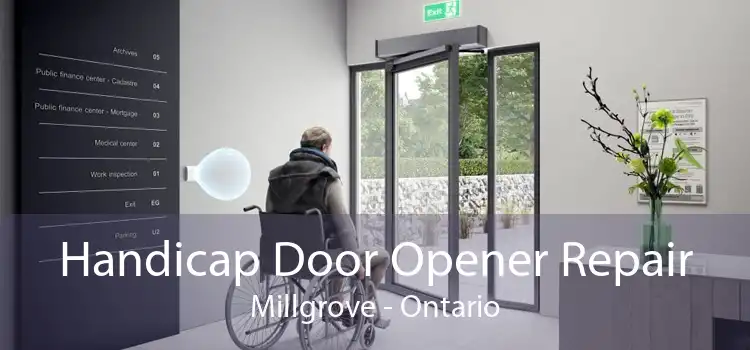 Handicap Door Opener Repair Millgrove - Ontario