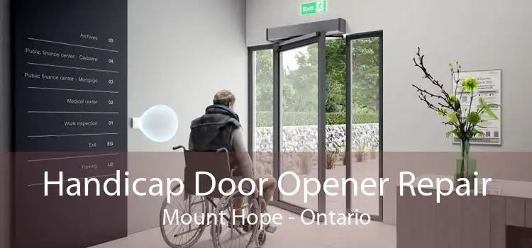 Handicap Door Opener Repair Mount Hope - Ontario