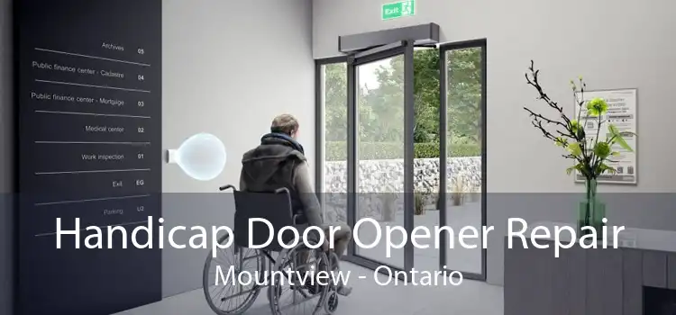 Handicap Door Opener Repair Mountview - Ontario