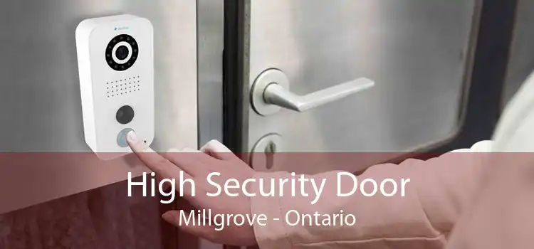 High Security Door Millgrove - Ontario