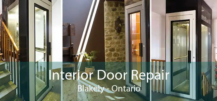 Interior Door Repair Blakely - Ontario