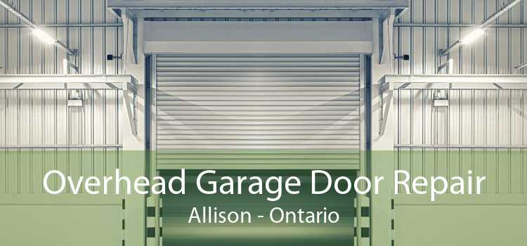 Overhead Garage Door Repair Allison - Ontario