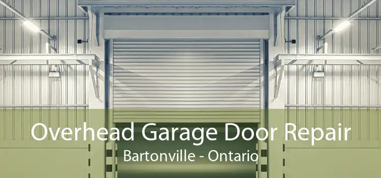 Overhead Garage Door Repair Bartonville - Ontario