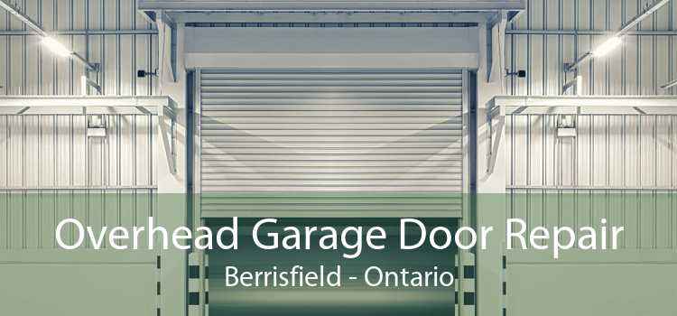 Overhead Garage Door Repair Berrisfield - Ontario