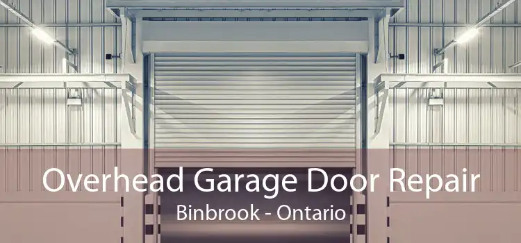 Overhead Garage Door Repair Binbrook - Ontario