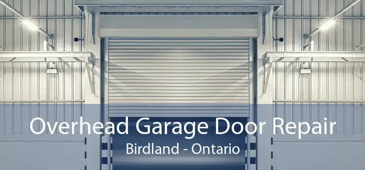 Overhead Garage Door Repair Birdland - Ontario