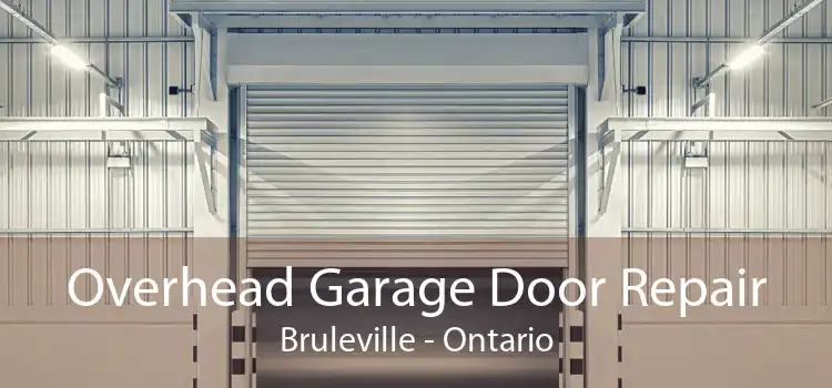 Overhead Garage Door Repair Bruleville - Ontario