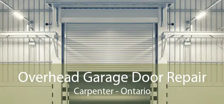Overhead Garage Door Repair Carpenter - Ontario