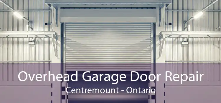 Overhead Garage Door Repair Centremount - Ontario