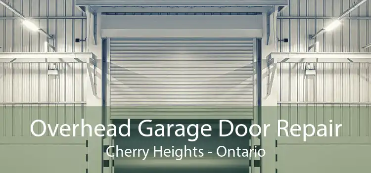 Overhead Garage Door Repair Cherry Heights - Ontario