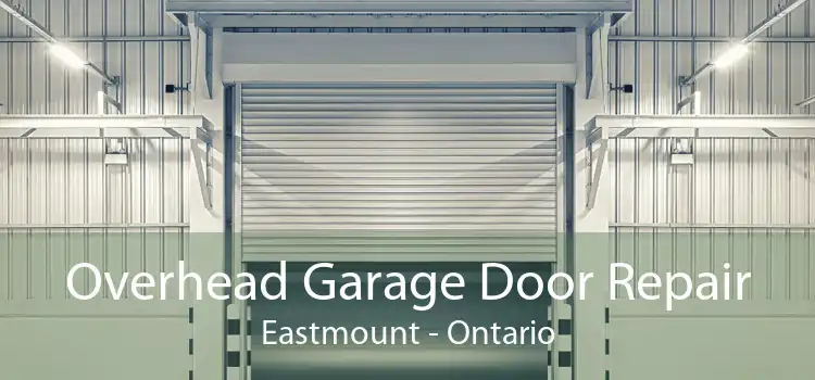 Overhead Garage Door Repair Eastmount - Ontario