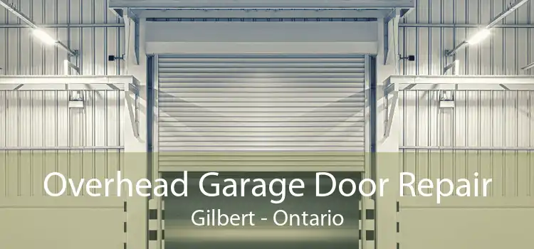 Overhead Garage Door Repair Gilbert - Ontario