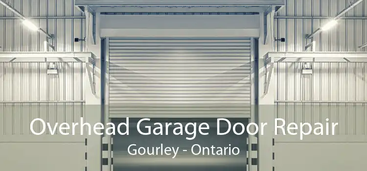 Overhead Garage Door Repair Gourley - Ontario