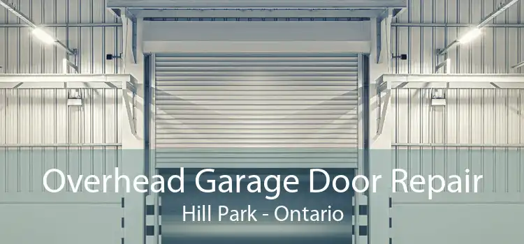 Overhead Garage Door Repair Hill Park - Ontario