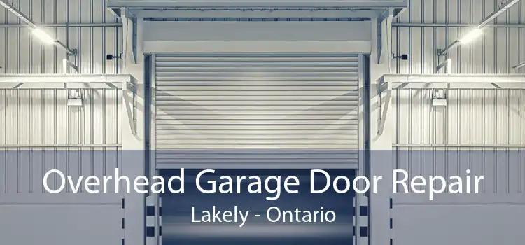 Overhead Garage Door Repair Lakely - Ontario