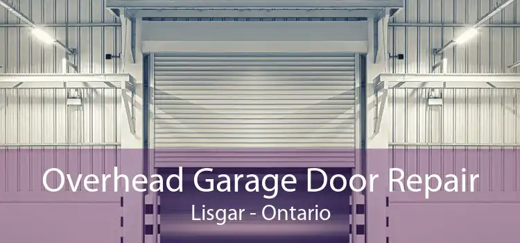 Overhead Garage Door Repair Lisgar - Ontario