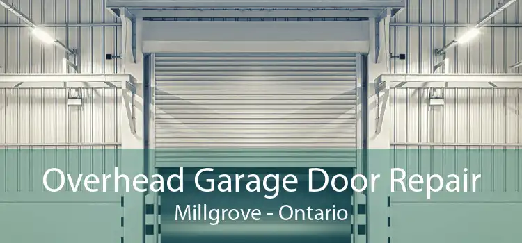 Overhead Garage Door Repair Millgrove - Ontario