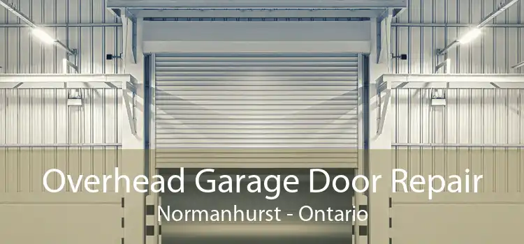 Overhead Garage Door Repair Normanhurst - Ontario