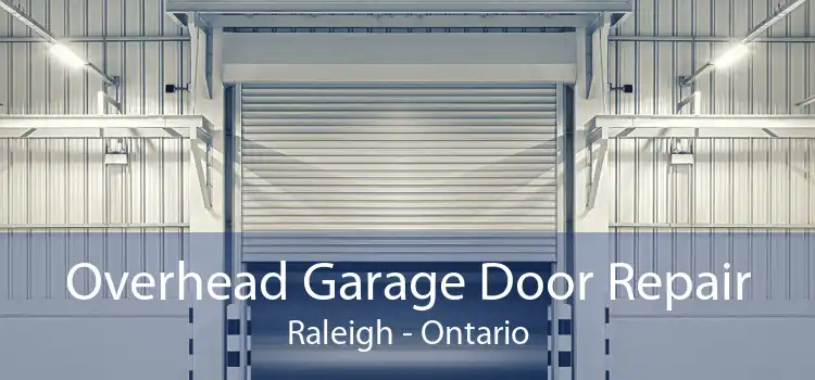 Overhead Garage Door Repair Raleigh - Ontario