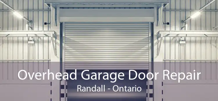 Overhead Garage Door Repair Randall - Ontario