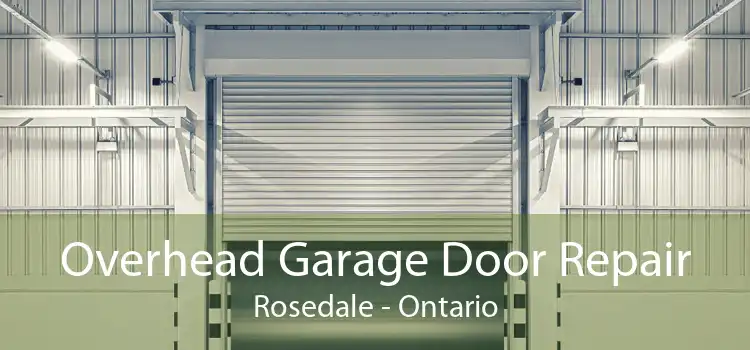 Overhead Garage Door Repair Rosedale - Ontario