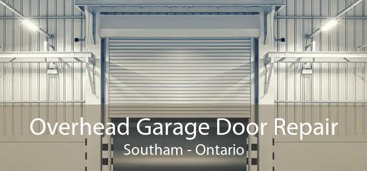 Overhead Garage Door Repair Southam - Ontario