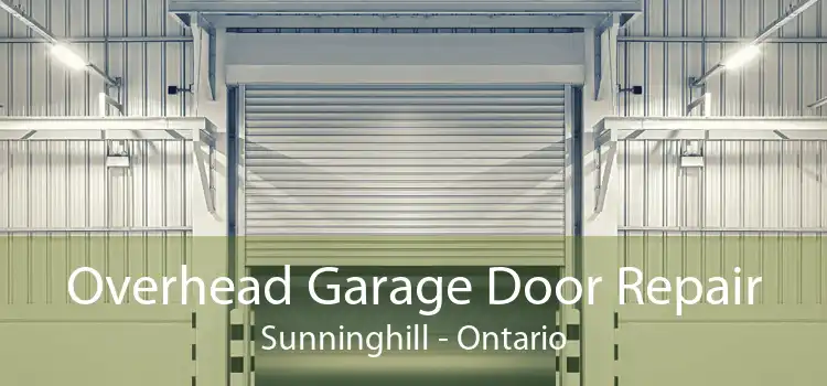 Overhead Garage Door Repair Sunninghill - Ontario