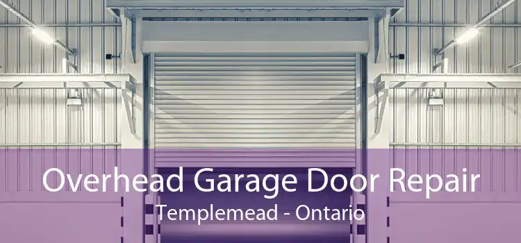 Overhead Garage Door Repair Templemead - Ontario