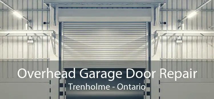 Overhead Garage Door Repair Trenholme - Ontario