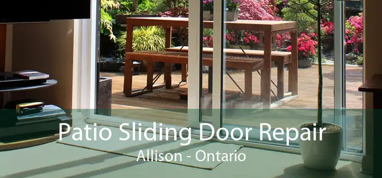 Patio Sliding Door Repair Allison - Ontario