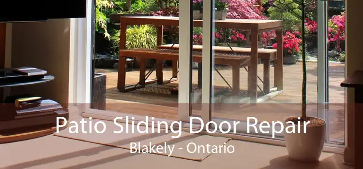Patio Sliding Door Repair Blakely - Ontario