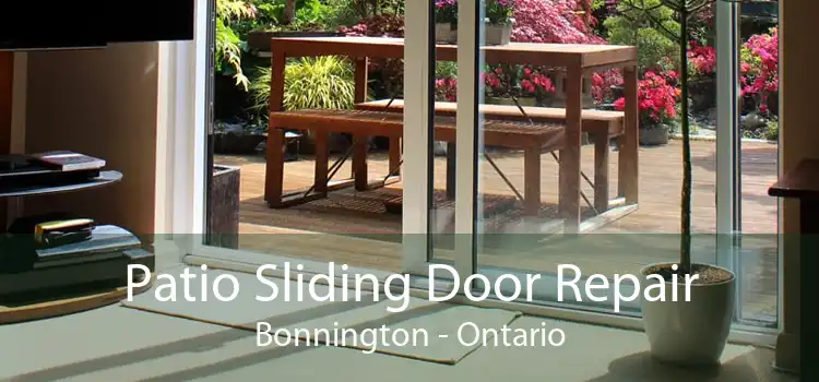 Patio Sliding Door Repair Bonnington - Ontario