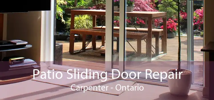 Patio Sliding Door Repair Carpenter - Ontario